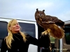 Royal Gauntlet Birds of Prey Hunt Eagle Owl